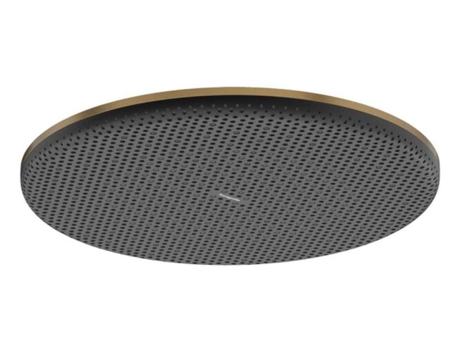 Hansgrohe Raindance Alive S Hlavová sprcha, průměr 30 cm, EcoSmart, kartáčovaný bronz