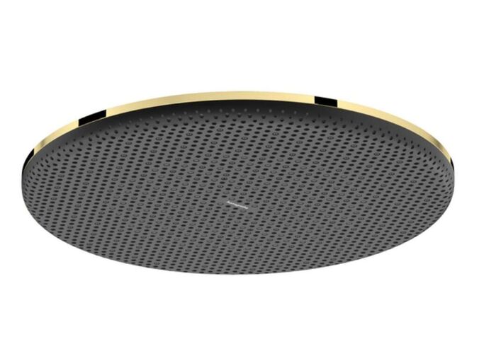 Hansgrohe Raindance Alive S Hlavová sprcha, průměr 30 cm, EcoSmart, leštěný vzhled zlata