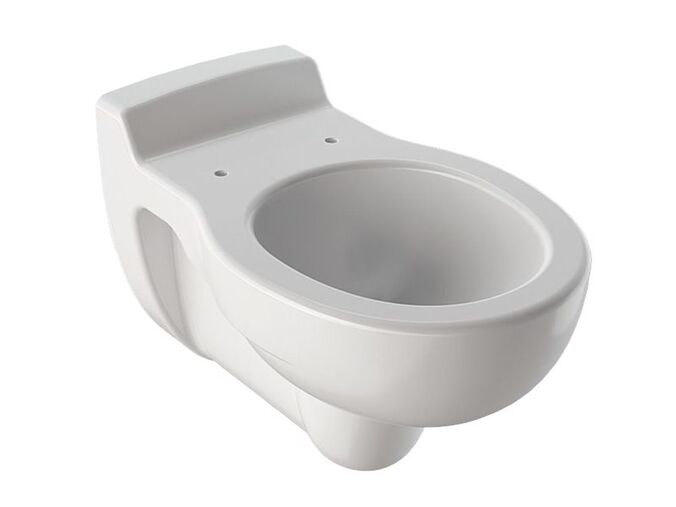 Geberit Bambini závěsné WC pro děti, hluboké splachování, 53,5 cm, bílá