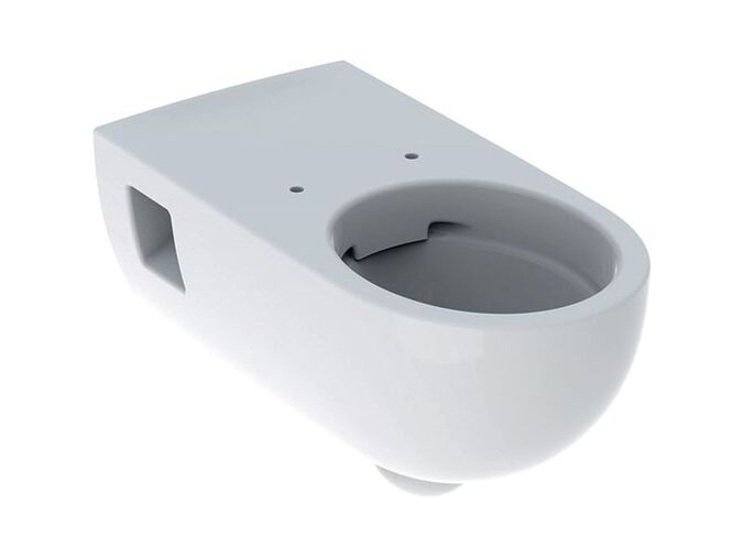 Geberit Selnova Comfort závěsný klozet 70 cm, hluboké splachování, Rimfree, bílá