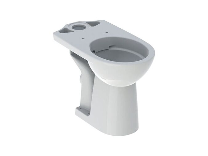 Geberit Selnova Comfort stojící WC kombi 65,5x35,5 cm, vodorovný odpad, Rimfree, bílá
