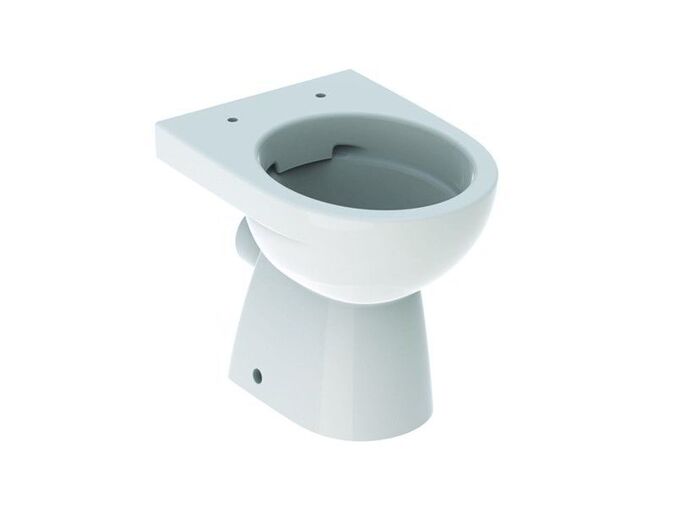Geberit Selnova stojící klozet 49 cm, hluboké splachování, vodorovný vývod, Rimfree, bílá