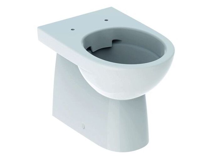 Geberit Selnova stojící klozet 53 cm, hluboké splachování, vario odpad, Rimfree, bílá